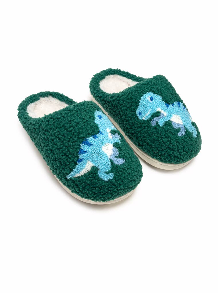 Dino Slippers