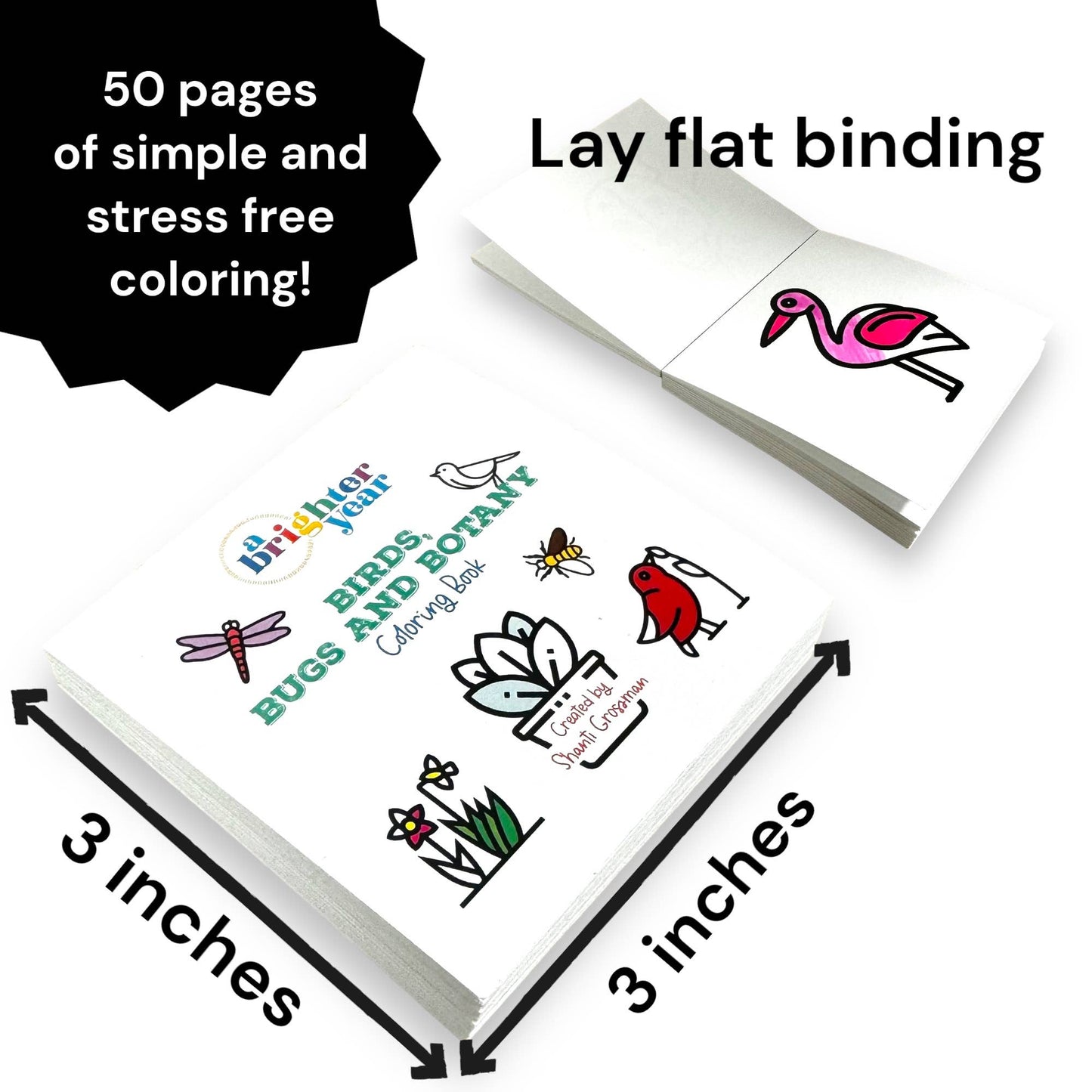 A Brighter Year - 50 Pages Birds Bugs and Botany Mini Coloring Book for Adults