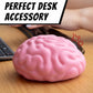 Boxer Gifts - Giant Brain Stress Ball – Large Squishy Toy for Adults