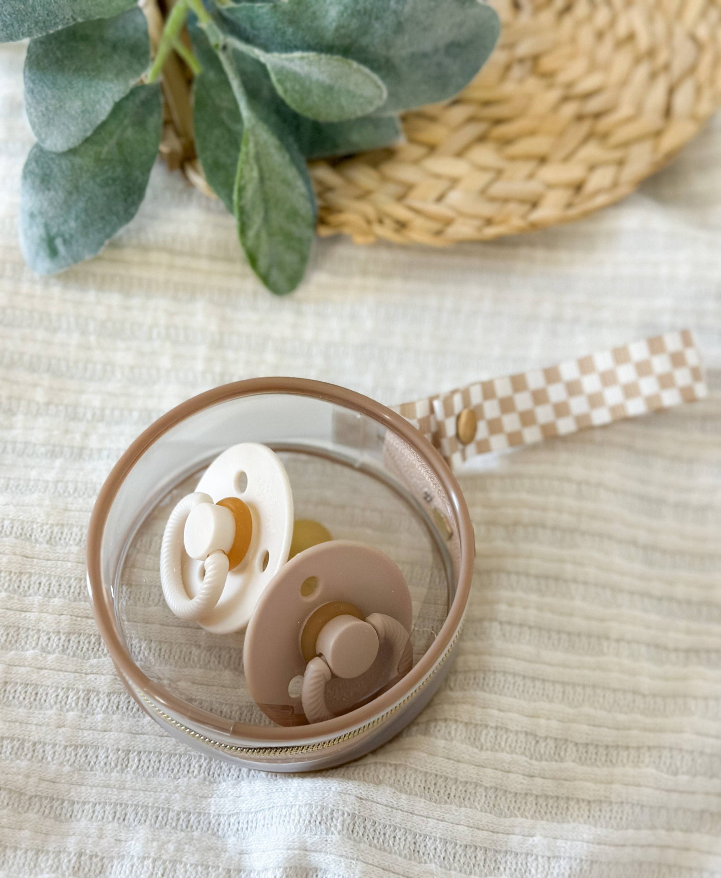 Itzy Ritzy Paci Case