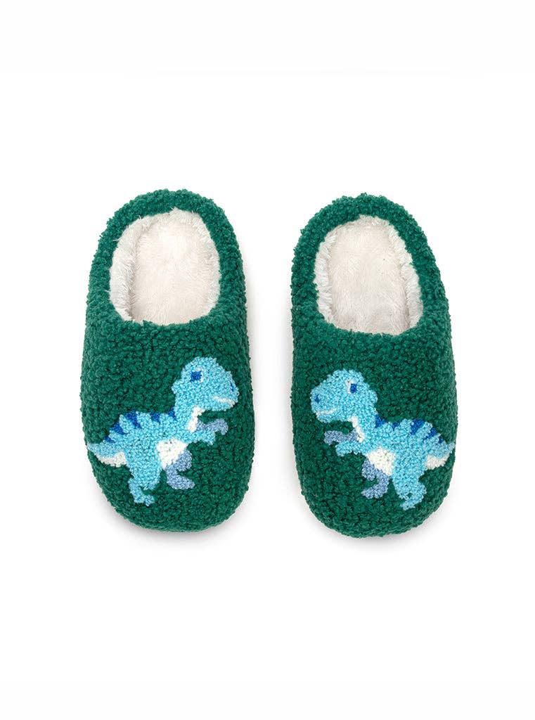Dino Slippers