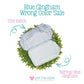 Light Blue Gingham Nylon Luggage